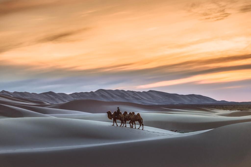 Discover the Mystical Mongolian Gobi – A Desert of Wonder3