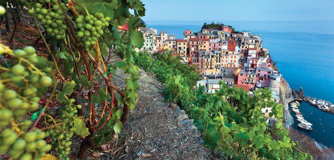 Italian Road Trip Adventure: From Tuscany to Amalfi!